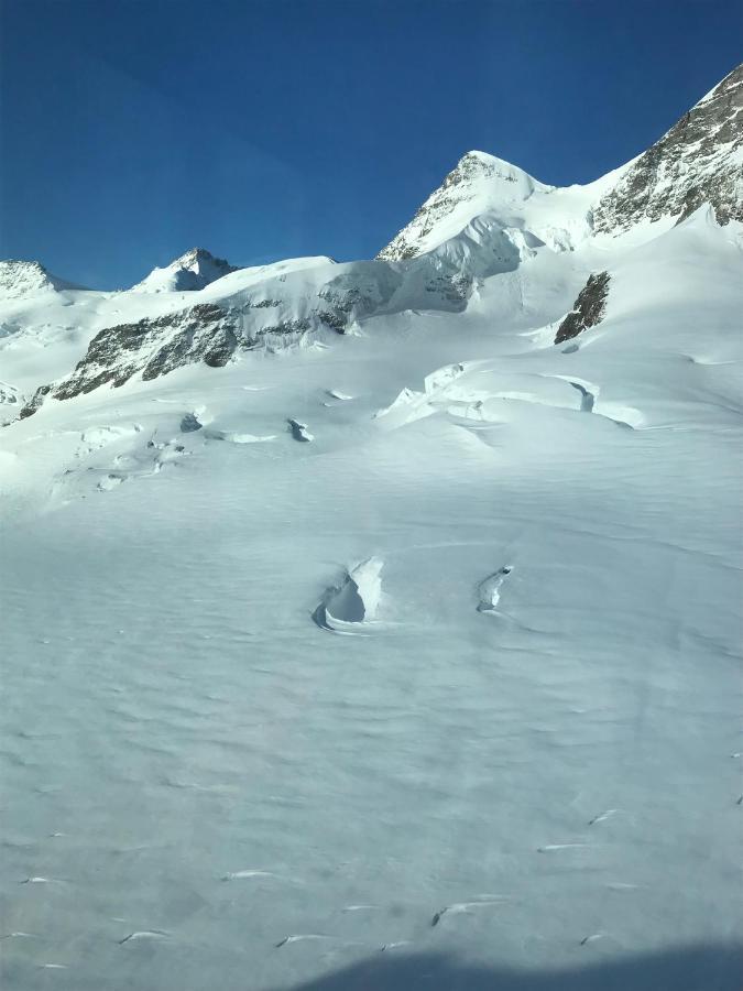 Chalet Burglauenen Grindelwald Esterno foto